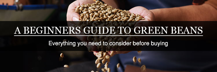 beginners guide to green coffee beans