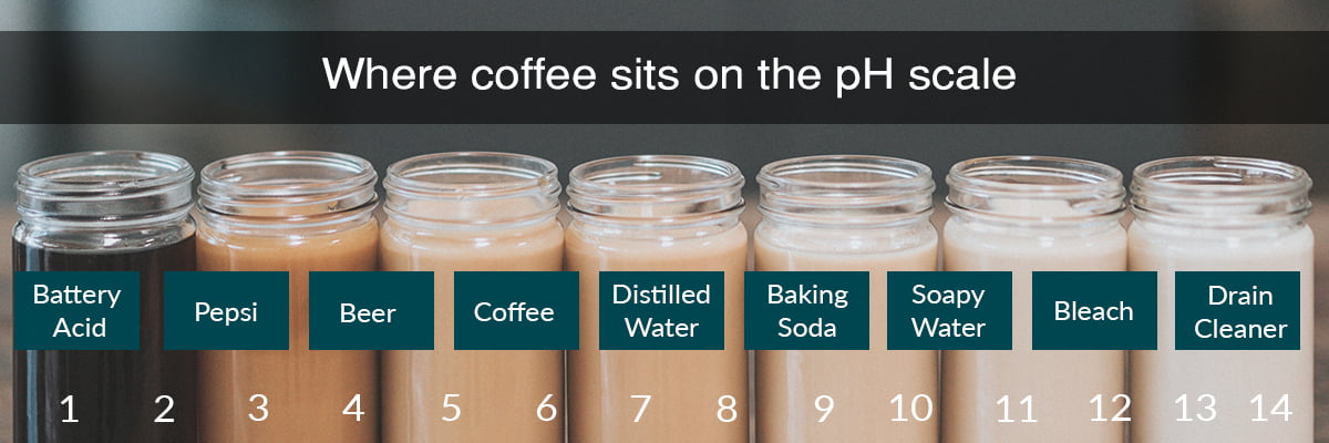 coffee acidic ph scale
