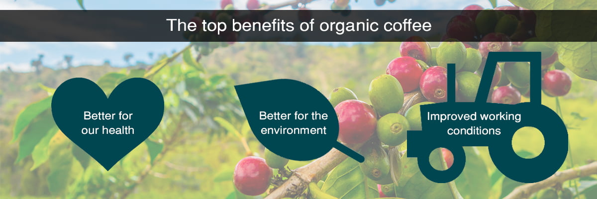 organic coffee benefits