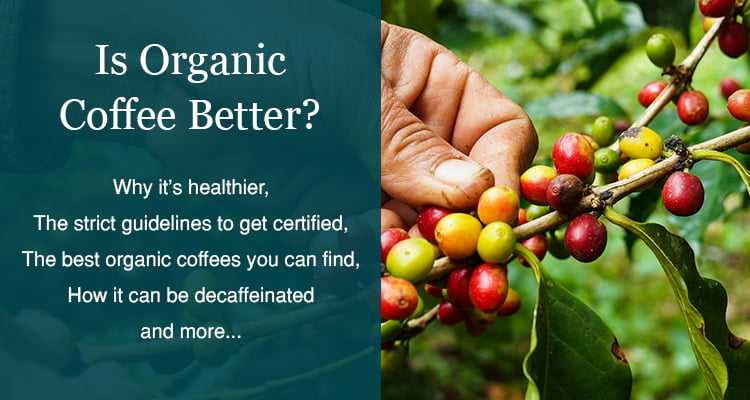 organic coffee benefits