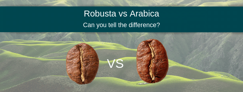 Arabica vs Robusta appearance