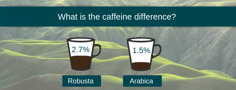 Arabica vs Robusta caffeine