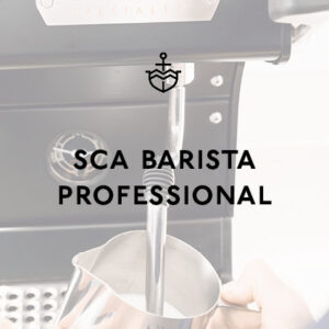 SCA Barista Skills Professional
