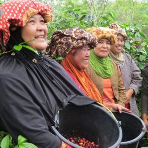 Womens Cooperative Coffee Farms