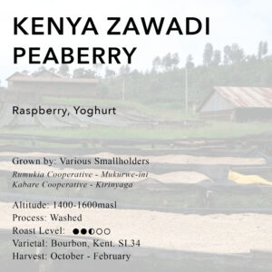 Kenya Zawadi Peaberry