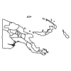 Papua-New-Guinea-Speciality-Coffee-Beans-Map